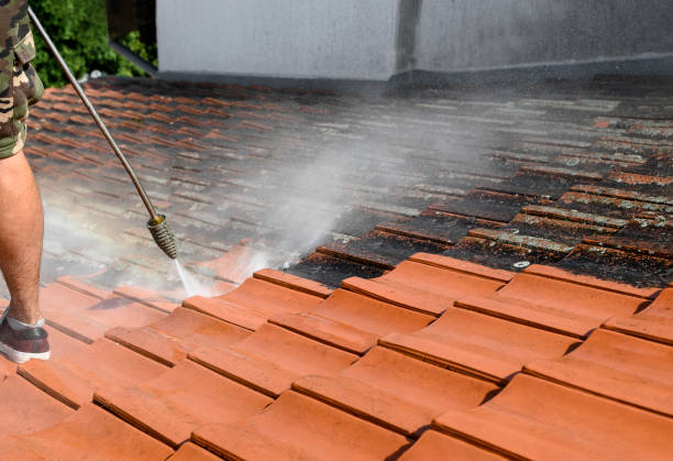 Best Sidewalk Pressure Washing  in Alderwood Manor, WA